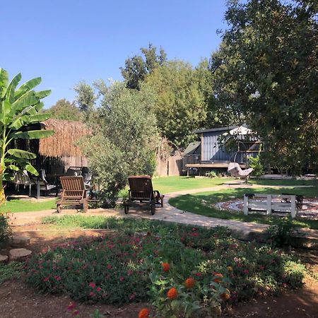 Tiny house Kasaba kayaköy kumkat Otel Dış mekan fotoğraf