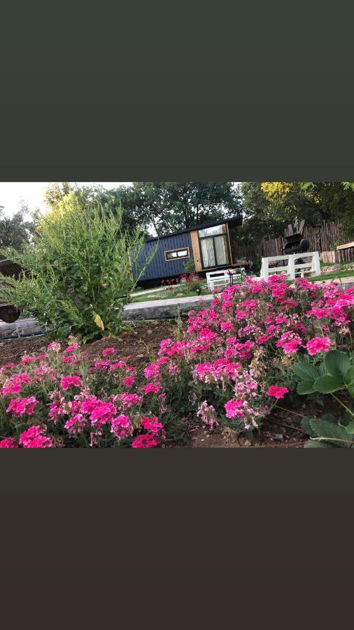Tiny house Kasaba kayaköy kumkat Otel Dış mekan fotoğraf